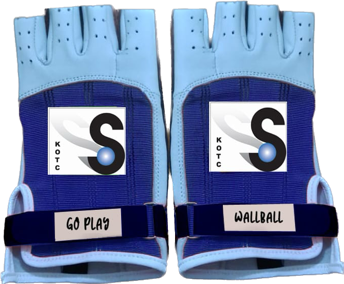 Buy Handball, Wallball Gloves Best Sports Gloves Online New York