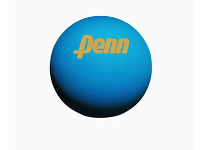 Penn Ultra-Blue Racquetballs | Handballs Giant Can - New York Handball Store Corp